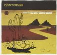 BLUETONES - RETURN TO THE LAST CHANCE SALO For Cheap